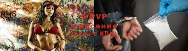 дживик Арсеньев