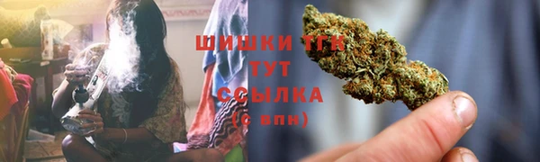 дживик Арсеньев