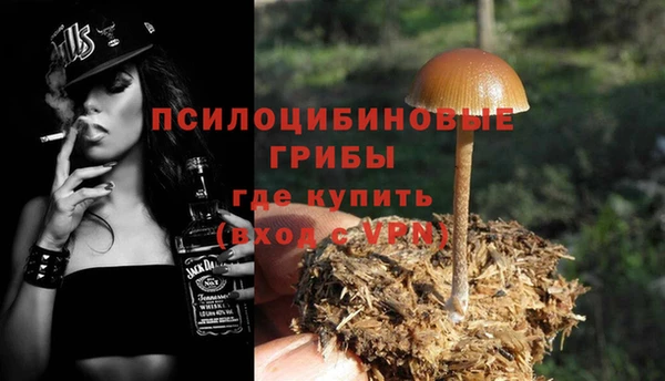 дживик Арсеньев