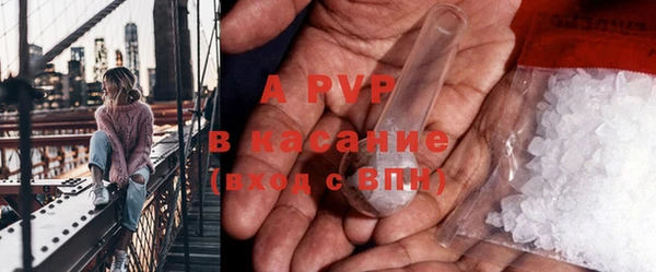 дживик Арсеньев