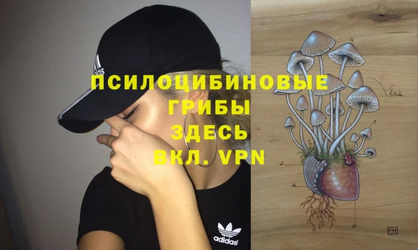 ешки Армянск