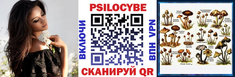 Галлюциногенные грибы MAGIC MUSHROOMS  Высоковск 